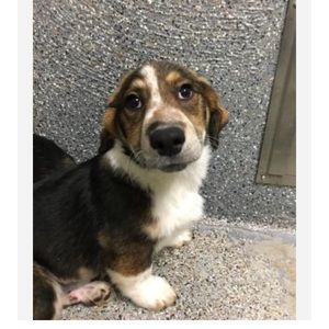 Meet your Posher, Rob